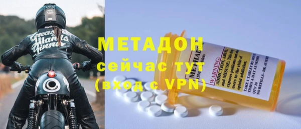 прущие грибы Приозерск