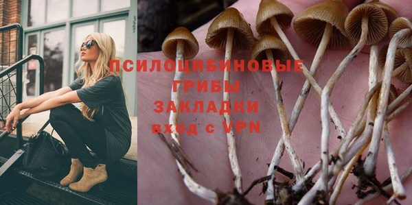 стафф Абдулино